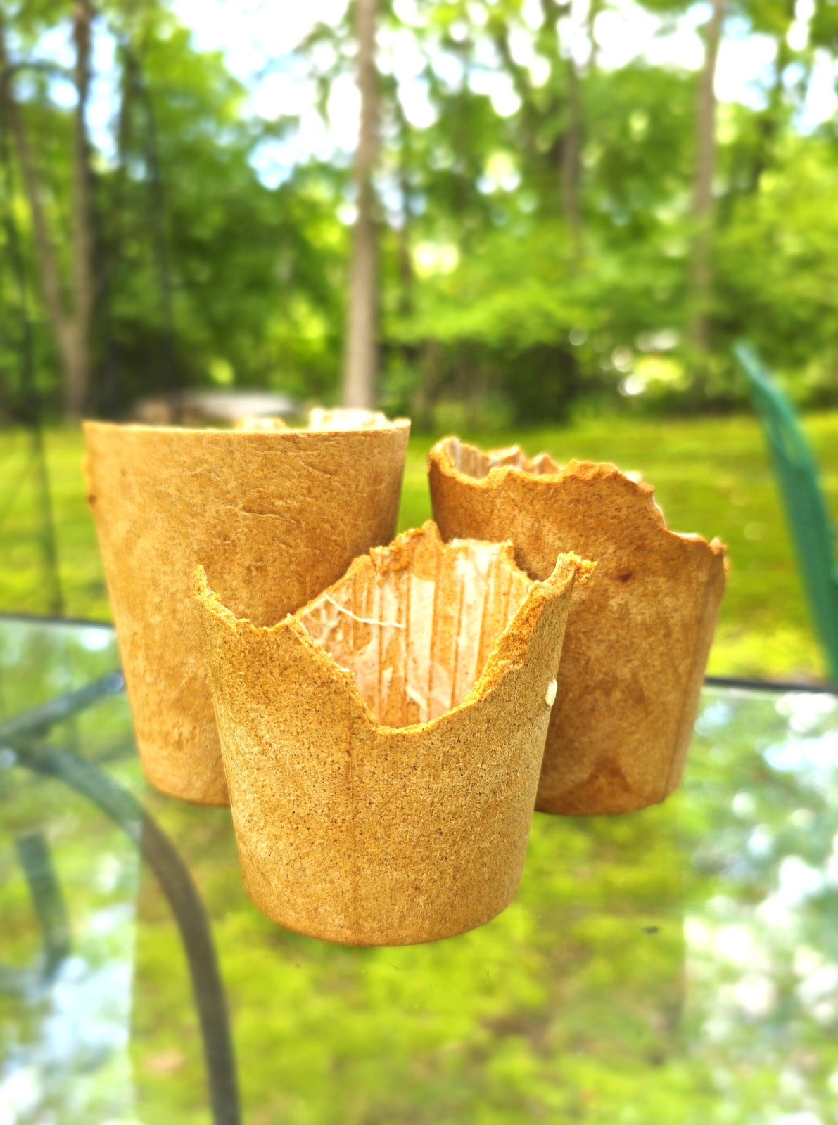 Edible Coffee Cups Large 9oz | Eco-Friendly Drinkware by Crunch Lane